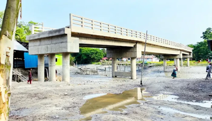সড়কের অভাবে পড়ে আছে চার সেতু সড়কের অভাবে পড়ে আছে চার সেতু