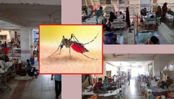ডেঙ্গুতে একদিনে ৪৬ জন হাসপাতালে ভর্তি, করোনায় সংক্রমিত ৬ জন ডেঙ্গুতে একদিনে ৪৬ জন হাসপাতালে ভর্তি, করোনায় সংক্রমিত ৬ জন