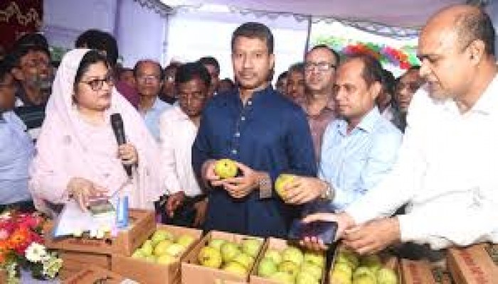 আম উৎপাদনে উত্তম কৃষি চর্চা সারা দেশে ছড়িয়ে দিতে হবে : কৃষি সচিব আম উৎপাদনে উত্তম কৃষি চর্চা সারা দেশে ছড়িয়ে দিতে হবে : কৃষি সচিব