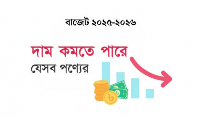 যেসব পণ্যের দাম কমতে পারে যেসব পণ্যের দাম কমতে পারে