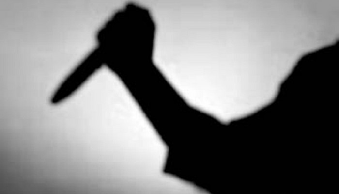 রাজধানীতে ছিনতাইকারীর ছুরিকাঘাতে আহত ২ রাজধানীতে ছিনতাইকারীর ছুরিকাঘাতে আহত ২