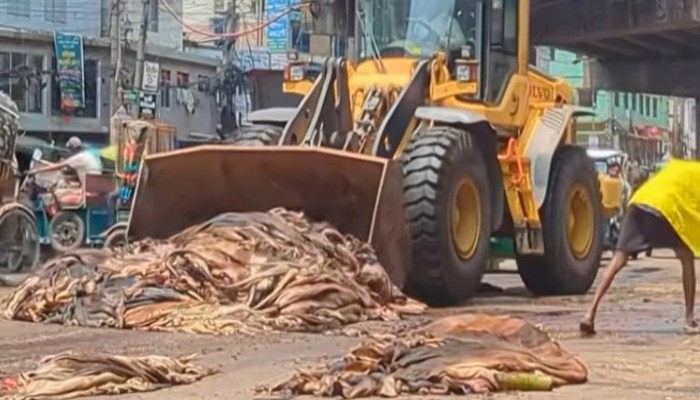 তথ্য বিভ্রাটে কোরবানির হাজার হাজার চামড়া নষ্ট তথ্য বিভ্রাটে কোরবানির হাজার হাজার চামড়া নষ্ট
