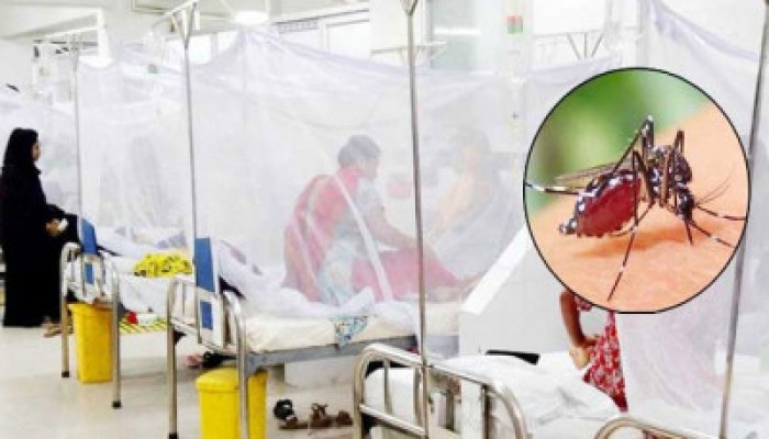 ডেঙ্গুতে আরও দুজনের মৃত্যু আক্রান্ত ১৫৯ ডেঙ্গুতে আরও দুজনের মৃত্যু আক্রান্ত ১৫৯