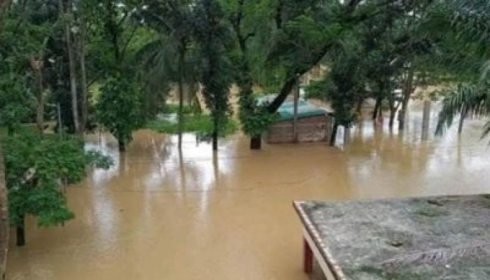 ফেনীর বন্যায় ক্ষতিগ্রস্ত ২৯ হাজার কৃষক ফেনীর বন্যায় ক্ষতিগ্রস্ত ২৯ হাজার কৃষক