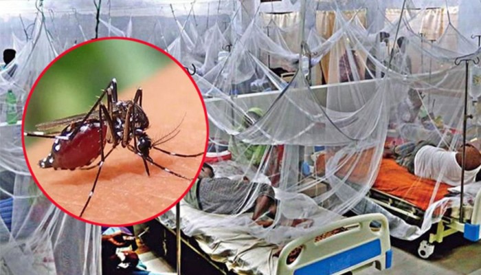 ডেঙ্গুতে একজনের মৃত্যু, হাসপাতালে ভর্তি ২৮০ ডেঙ্গুতে একজনের মৃত্যু, হাসপাতালে ভর্তি ২৮০