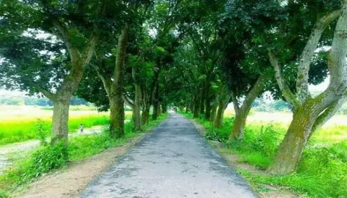 সেঁওতি বাগানে টিএসআই রিসার্চ সেন্টারের উদ্বোধন সেঁওতি বাগানে টিএসআই রিসার্চ সেন্টারের উদ্বোধন