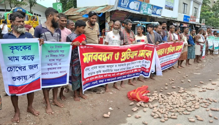 সড়কে আলু ফেলে নওগাঁর কৃষকদের মানববন্ধন সড়কে আলু ফেলে নওগাঁর কৃষকদের মানববন্ধন