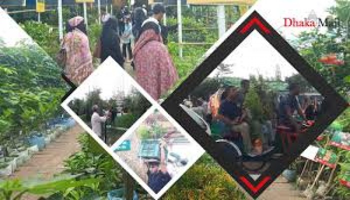 সবুজায়ন স্বপ্নে খরা সবুজায়ন স্বপ্নে খরা