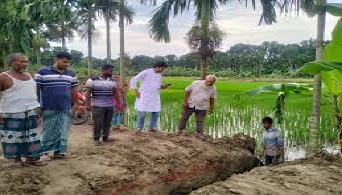 কৃষি অফিসারের প্রচেষ্টায় পানি নিষ্কাশন রক্ষা পেল শত শত বিঘার ধান কৃষি অফিসারের প্রচেষ্টায় পানি নিষ্কাশন রক্ষা পেল শত শত বিঘার ধান