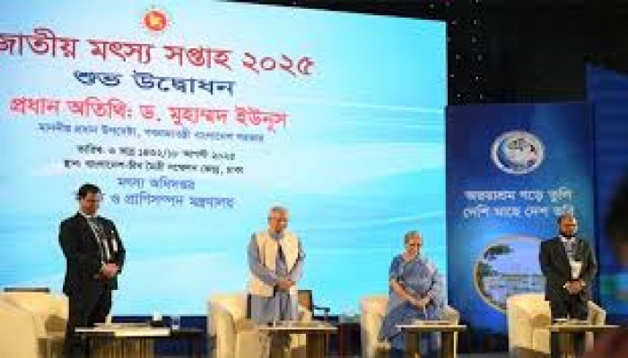 মাছ রক্ষায় পরিবেশের প্রতি সদয় হোন মাছ রক্ষায় পরিবেশের প্রতি সদয় হোন