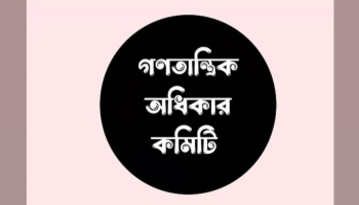 অন্তর্বর্তী সরকারের দায়হীন কর্মকাণ্ডে বিপন্ন মানবাধিকার অন্তর্বর্তী সরকারের দায়হীন কর্মকাণ্ডে বিপন্ন মানবাধিকার