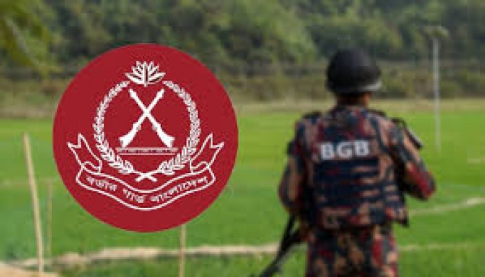 আগস্টে বিজিবির অভিযানে ১৭৭ কোটি টাকার অবৈধ পণ্য জব্দ আগস্টে বিজিবির অভিযানে ১৭৭ কোটি টাকার অবৈধ পণ্য জব্দ
