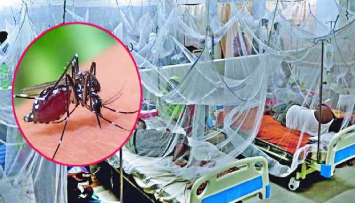 ডেঙ্গুতে দু’জনের মৃত্যু, হাসপাতালে ভর্তি ৫৭৩ ডেঙ্গুতে দু’জনের মৃত্যু, হাসপাতালে ভর্তি ৫৭৩