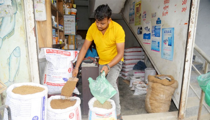 কাঁচামাল সস্তা হলেও কমছে না প্রাণিখাদ্যের দাম কাঁচামাল সস্তা হলেও কমছে না প্রাণিখাদ্যের দাম