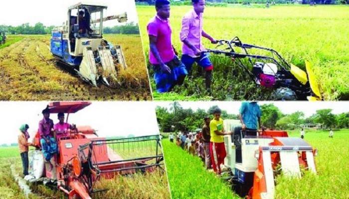 আমদানি নির্ভরতায় বাড়ছে কৃষিপণ্যের উৎপাদন ব্যয় আমদানি নির্ভরতায় বাড়ছে কৃষিপণ্যের উৎপাদন ব্যয়