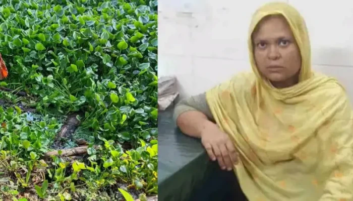 তৃতীয় সন্তানও মেয়ে হওয়ায় জন্মের ৫ দিন পর হত্যা করলেন মা তৃতীয় সন্তানও মেয়ে হওয়ায় জন্মের ৫ দিন পর হত্যা করলেন মা
