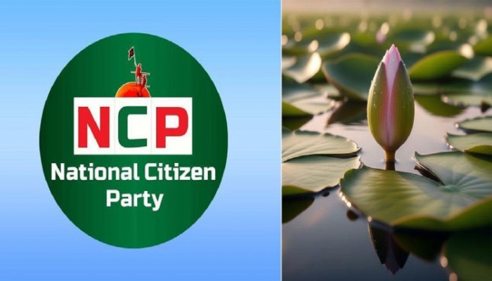 ইসির প্রতীক তালিকায় ‘শাপলা কলি’, প্রত্যাখ্যান এনসিপির ইসির প্রতীক তালিকায় ‘শাপলা কলি’, প্রত্যাখ্যান এনসিপির