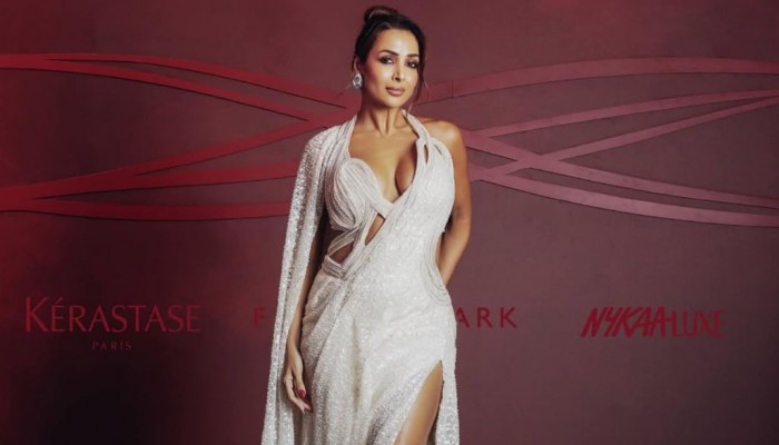 নতুন প্রেম নিয়ে যা জানালেন মালাইকা