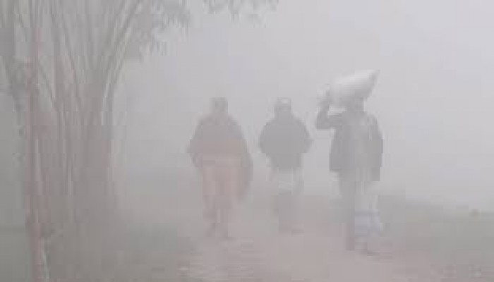 শীতের আগমনী বার্তা দিচ্ছে প্রকৃতি