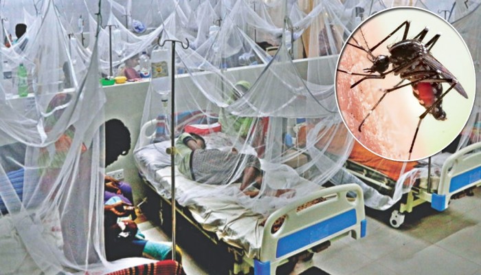 ডেঙ্গুতে একদিনে ৫ জনের মৃত্যু হাসপাতালে ভর্তি ১১৩৯