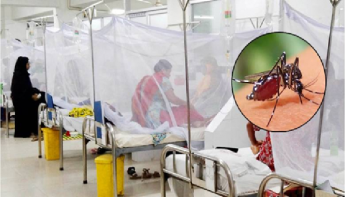 ডেঙ্গুতে ৪ জনের মৃত্যু, হাসপাতালে ভর্তি ৯২০