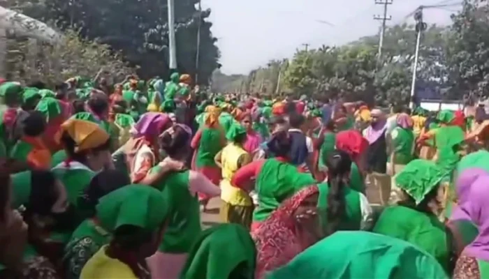 কুমিল্লা ইপিজেডে আতঙ্কে অসুস্থ ৮০ নারী শ্রমিক