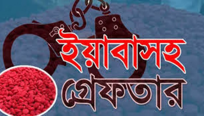 কক্সবাজারের উখিয়া সীমান্ত থেকে ৩ লাখ ৬০ হাজার ইয়াবা উদ্ধার