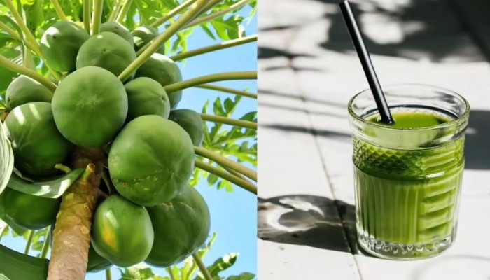 ওজন নিয়ন্ত্রণে খেতে পারেন কাঁচা পেঁপের জুস