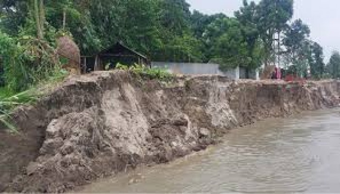 নাগেশ্বরীতে শুকনো মৌসুমেও থেমে নেই নদী ভাঙন