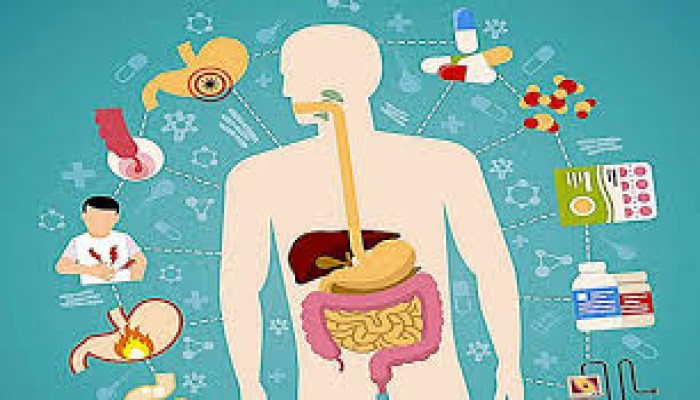 অসংক্রামক ব্যাধির বিস্তারে বাড়ছে অর্থনৈতিক বিপর্যয়ও