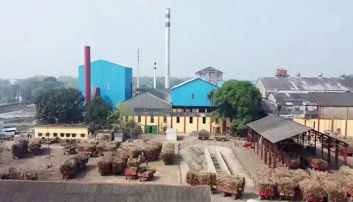 শতকোটি টাকা ঢেলেও মুখ থুবড়ে পড়েছে কেরু চিনিকল, বিপাকে আখচাষি